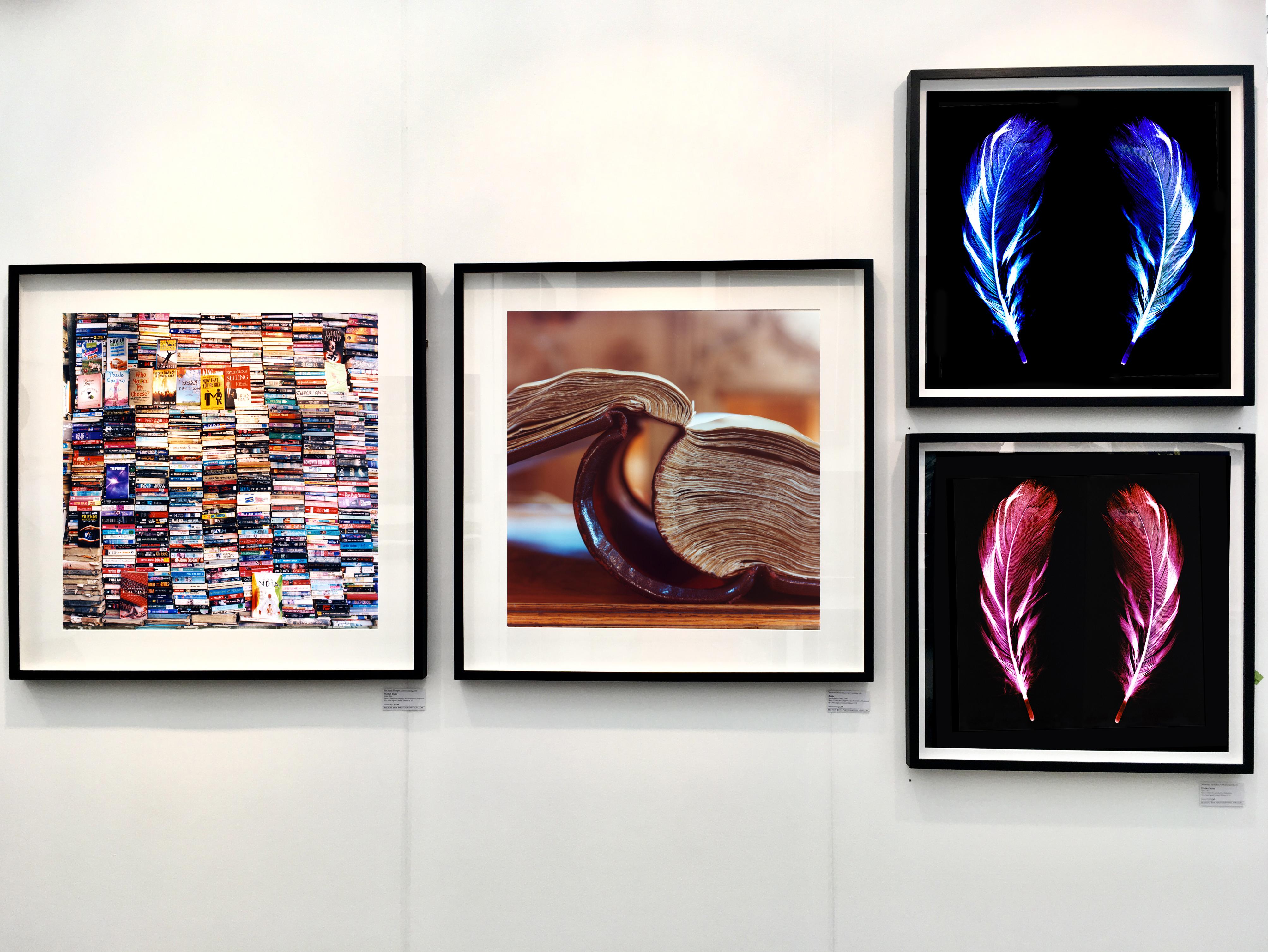 Flight of Fancy - Electric Blue Feathers - Konzeptionelle, Farbfotografie im Angebot 1