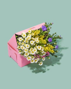 Fiori selvatici in cassetta