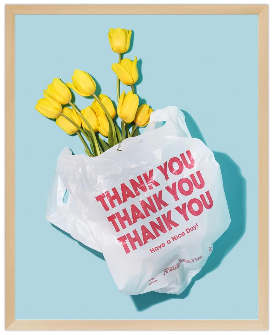 Thank You Tulips For Sale 1