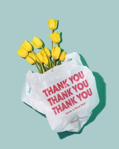 Thank You Tulips