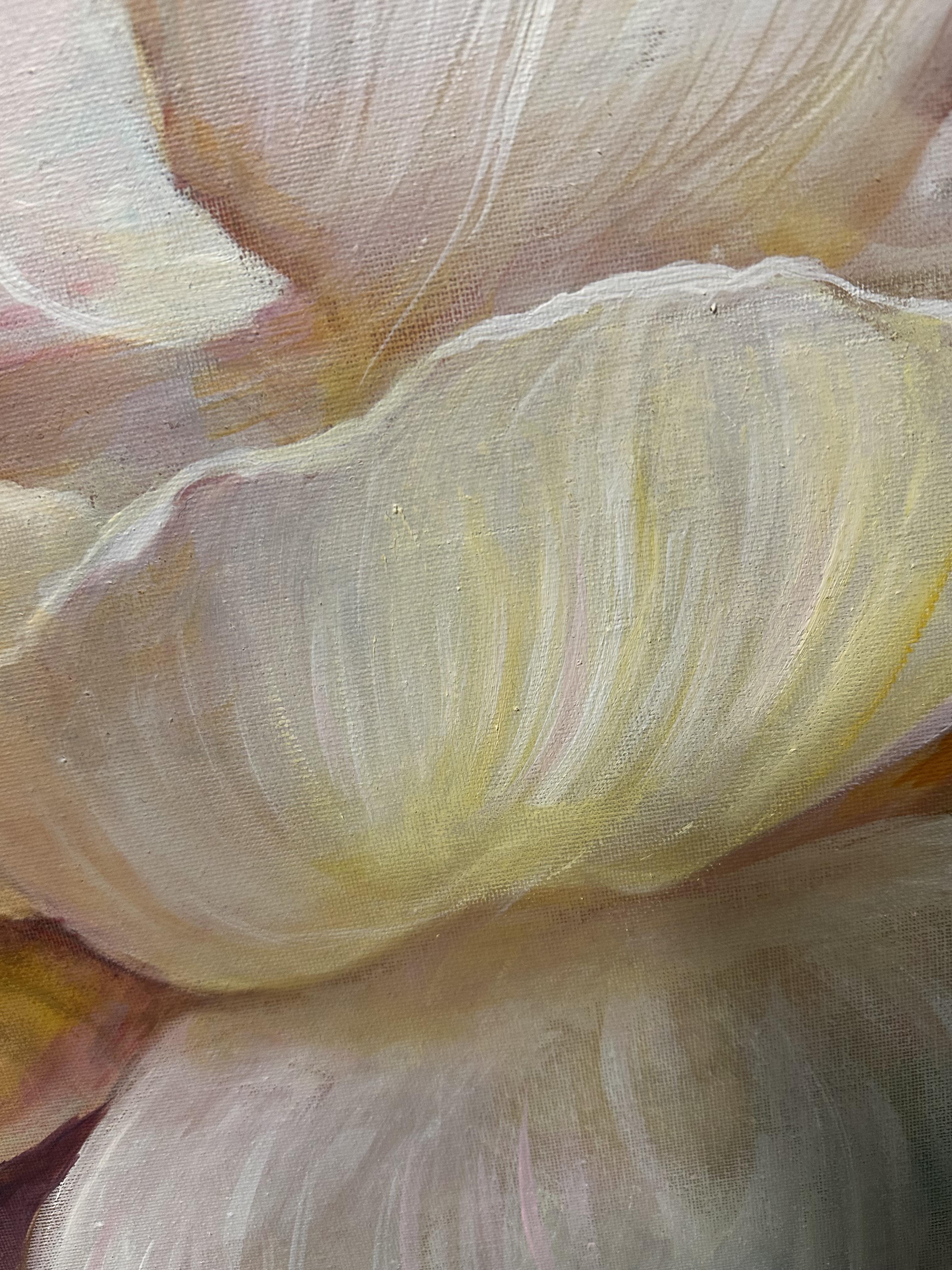 In die Pfingstrosen gefallen im Angebot 1