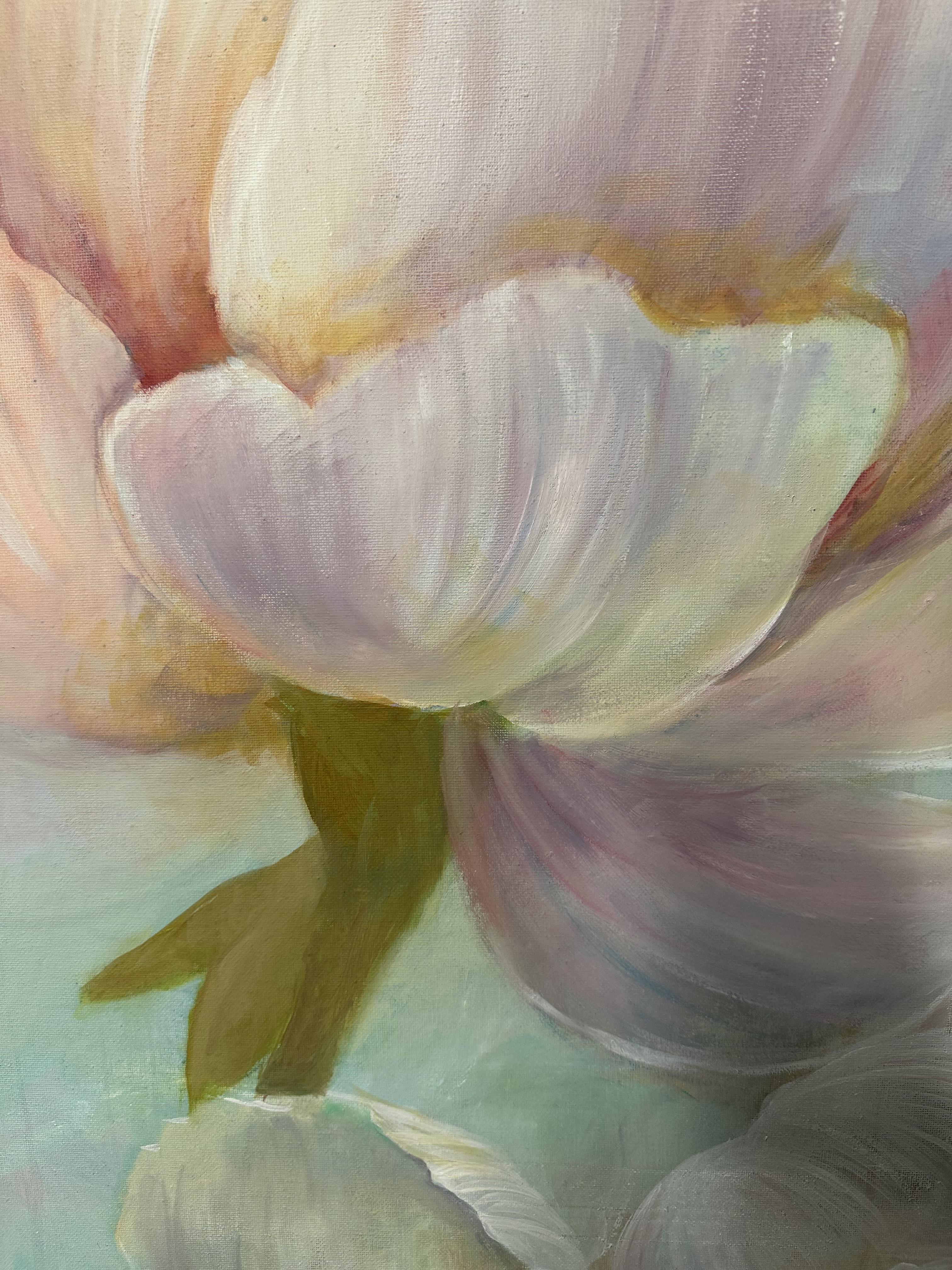 In die Pfingstrosen gefallen im Angebot 3