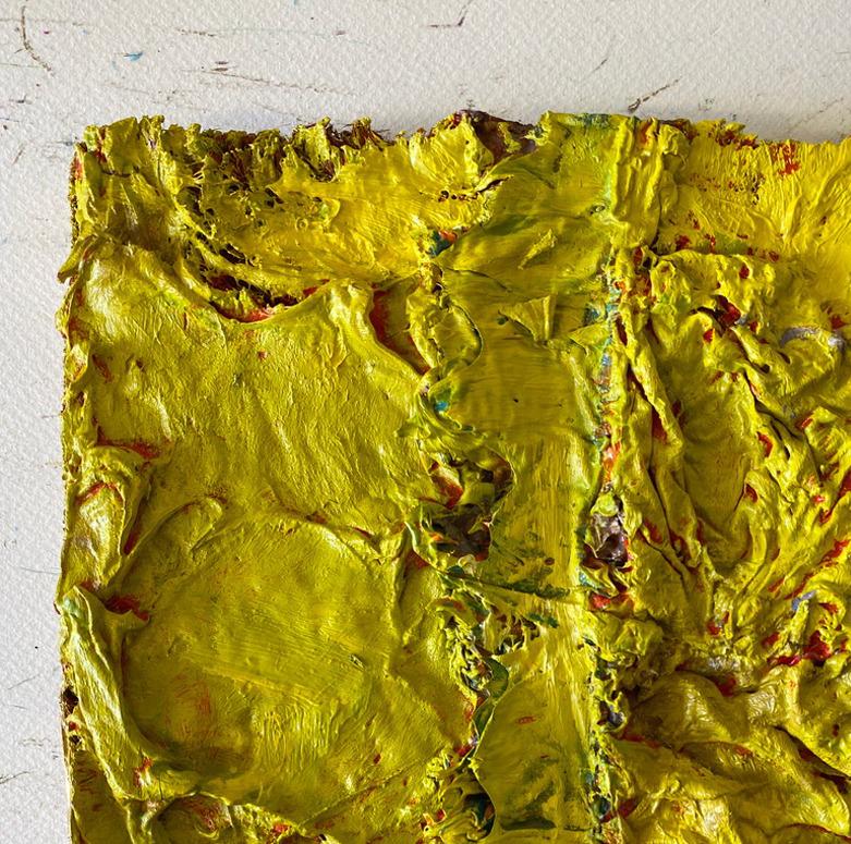 Color Boundaries #26, y #24. Abstract painting on canvas, mounted on a stretcher - Brown Abstract Painting by Natasha Zupan