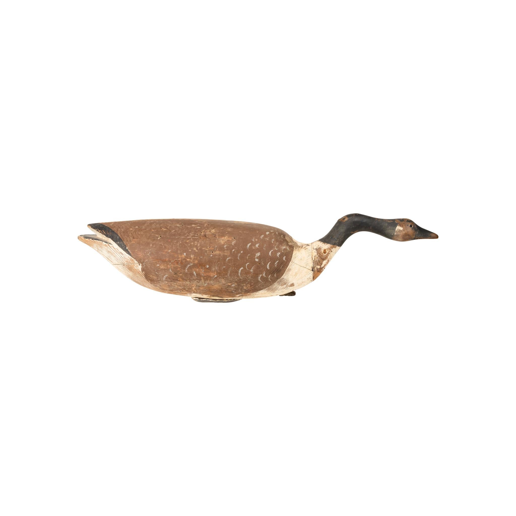 Hollow-carved Canada Goose decoy by Nathan Cobb Jr, with applied neck and head circa 1880-1895. This decoy features a 33” L x 7 ½” W two-piece hand-scooped and drilled hollow body, constructed with both cut nails (square nails) and wire nails, a