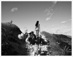 Dogwalker
