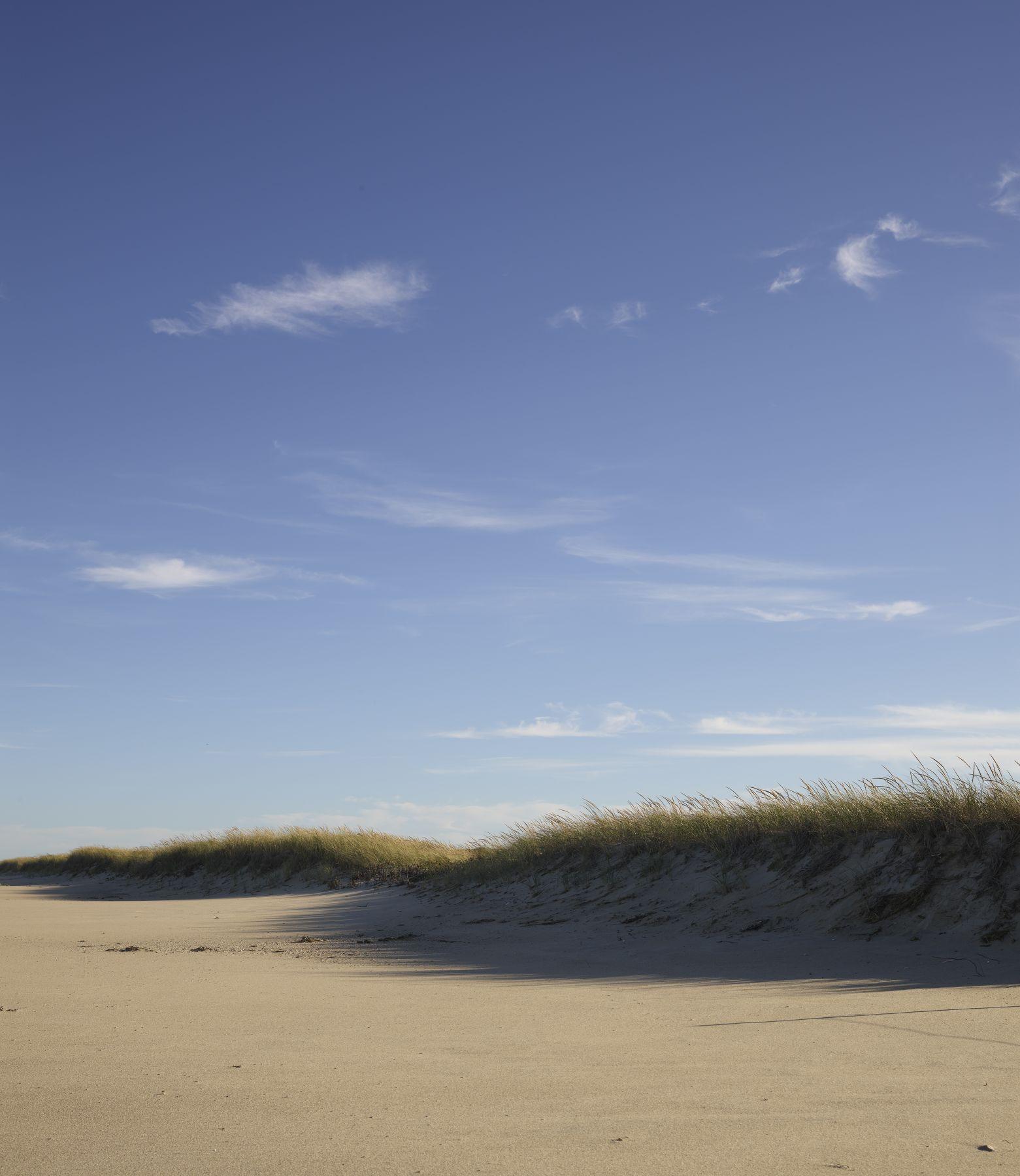Landscape Photograph Nathan Coe - Peintre
