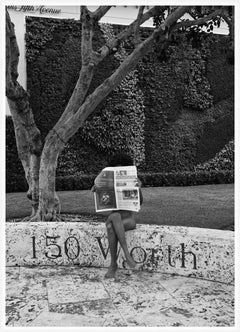 The Daily News
