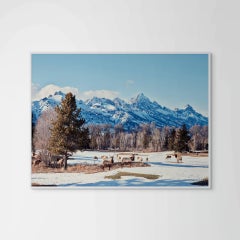 What 'Ya Looking At?