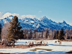 What 'Ya Looking At?