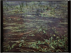 Vintage "St. Regis River Grasses" Large Cibachrome Direct Positive Photograph 
