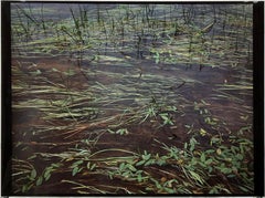 Vintage "St. Regis River Grasses" Large Cibachrome Direct Positive Photograph