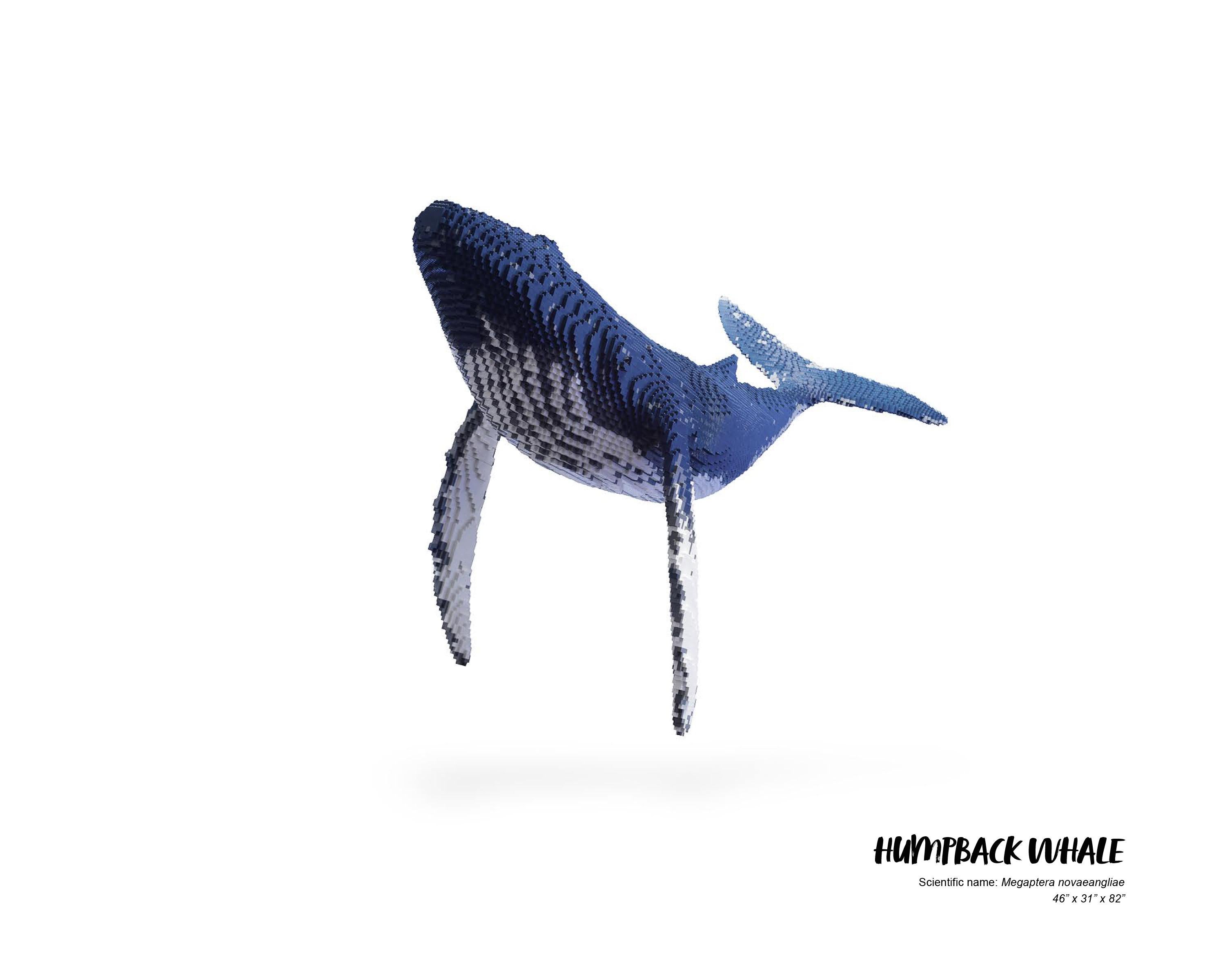 Nathan Sawaya Still-Life Sculpture - Humpback Whale #1
