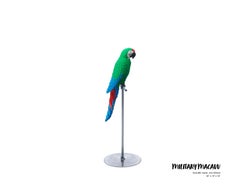 Nathan Sawaya - Military Macaw, Sculpture, 2019
