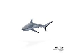 Nathan Sawaya - Squalo della barriera corallina, scultura, 2019
