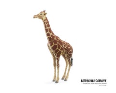 Nathan Sawaya - Giraffa di Rothschild, scultura 2019