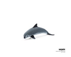 Vaquita