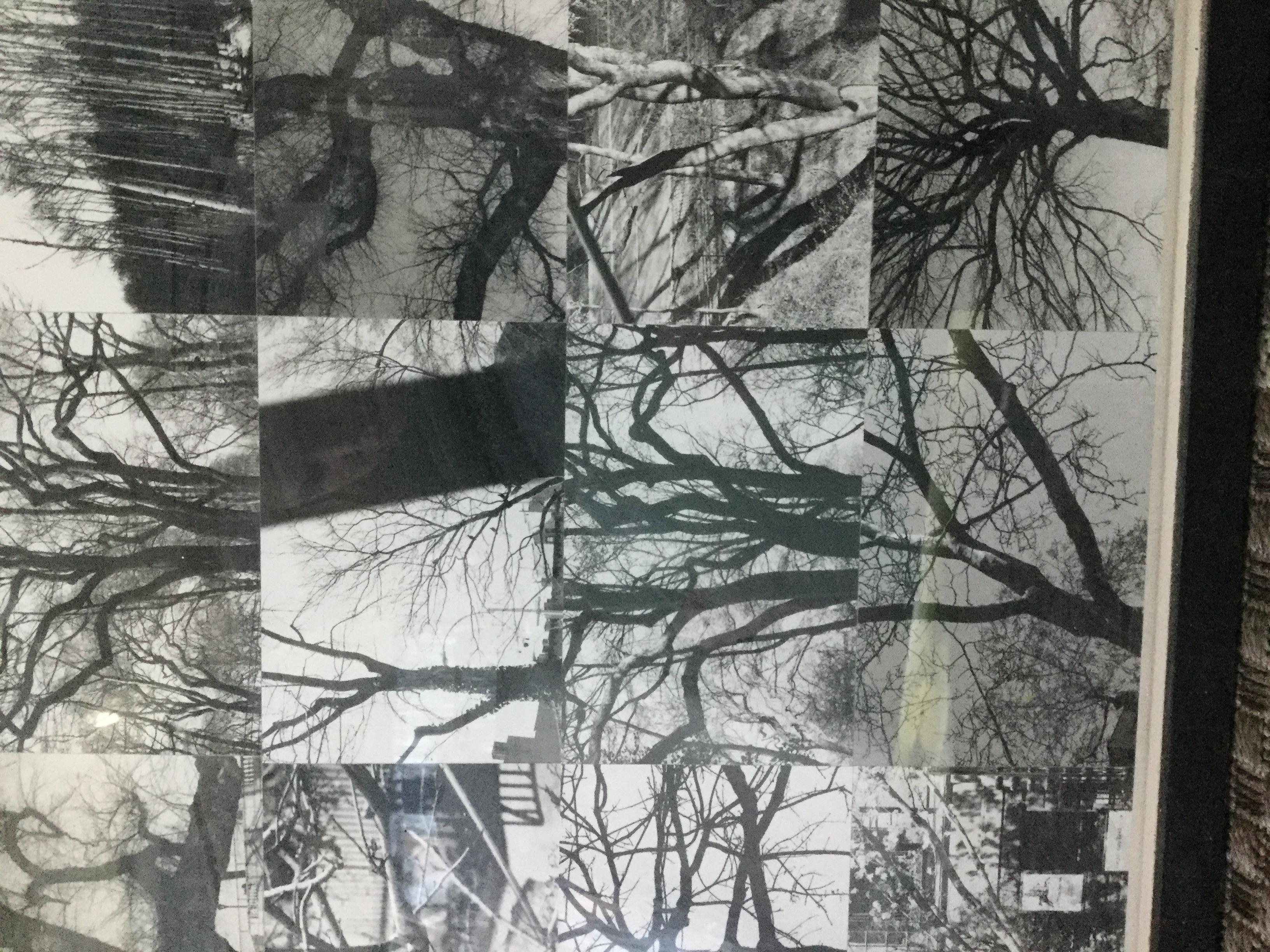 black and white trees photo collage - Photograph by Nathan Slate Joseph