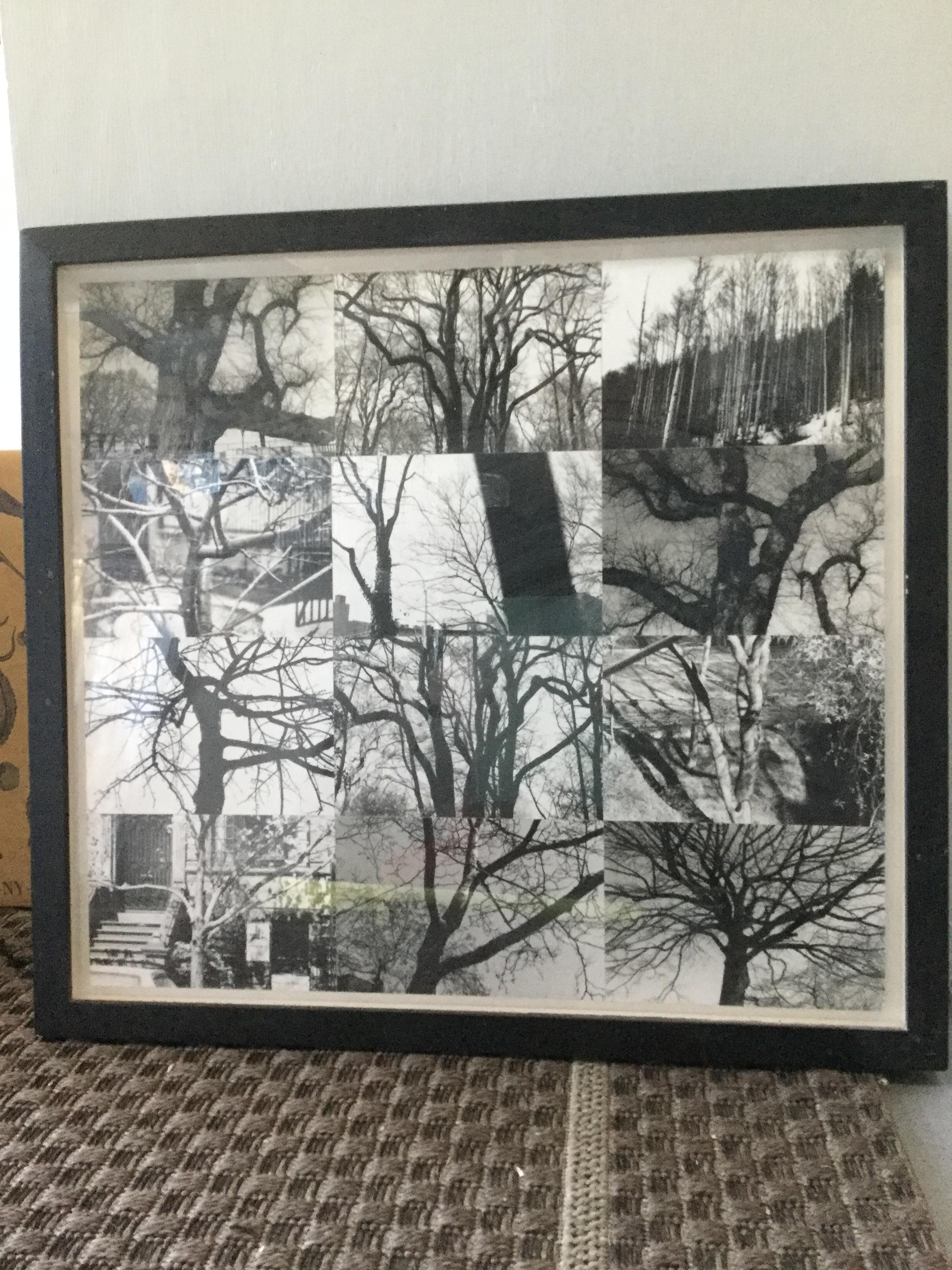 Nathan Slate Joseph Black and White Photograph - black and white trees photo collage
