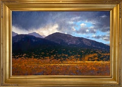 Below Mt. Blanca (lush mountains, fall leaves, moody sky)