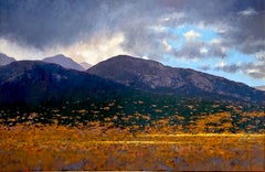 Below Mt. Blanca (lush mountains, fall leaves, moody sky)