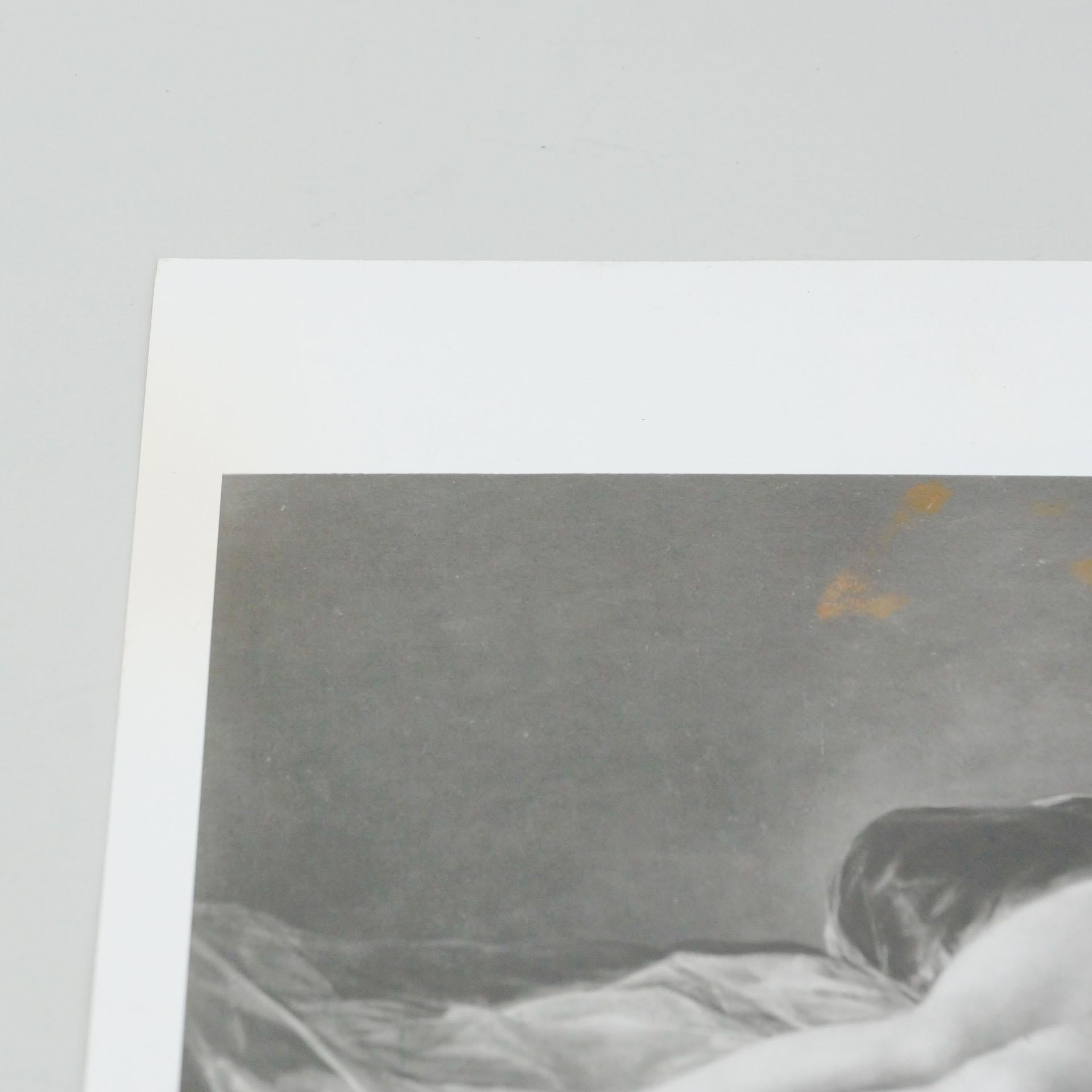 Mid-Century Modern La photographie de Goya « The Naked Maja » (la maison nue), National Gallery of Art, 1976 en vente
