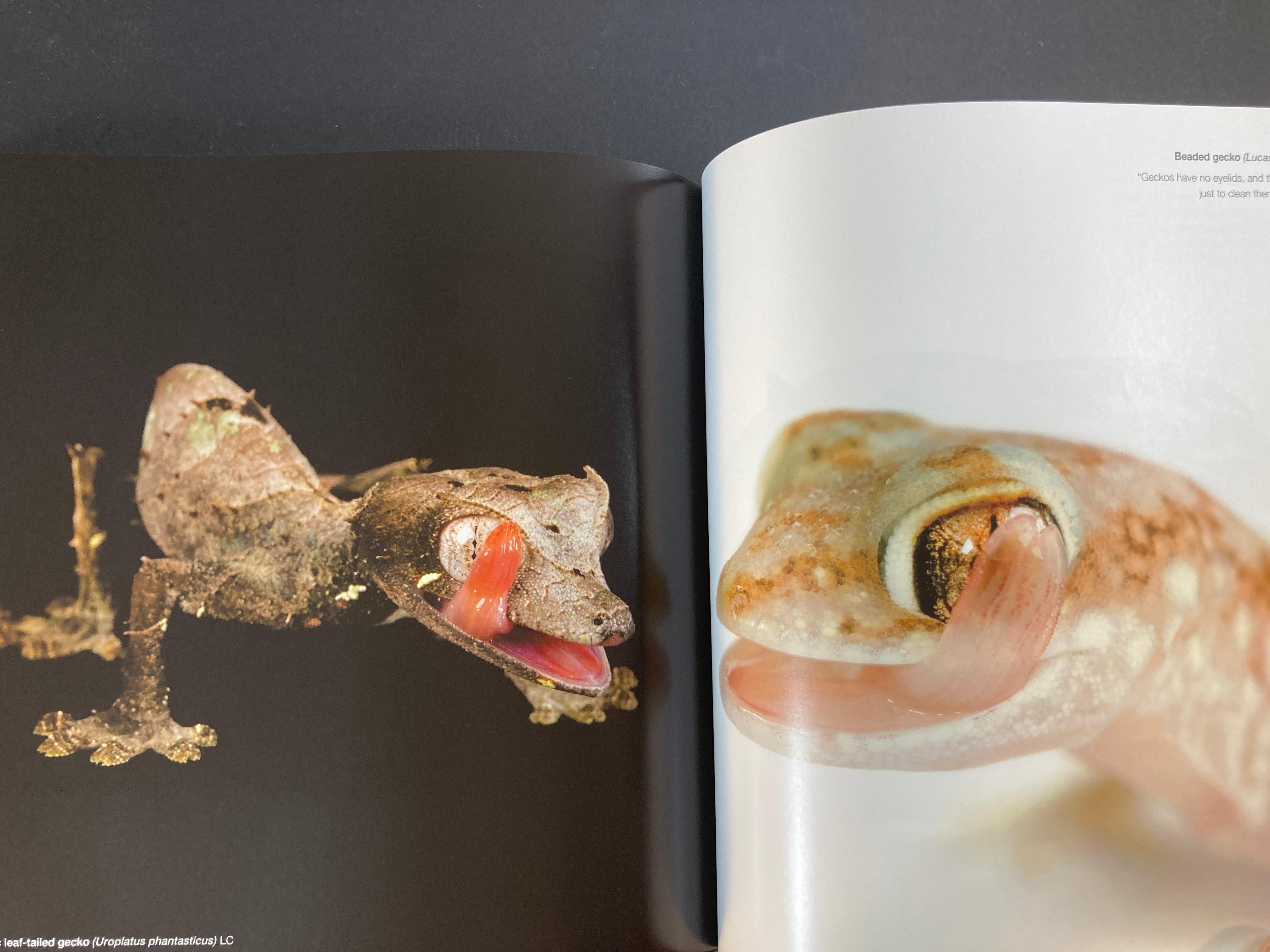 Paper National Geographic The Photo Ark The Quest to Document the World's Animals For Sale