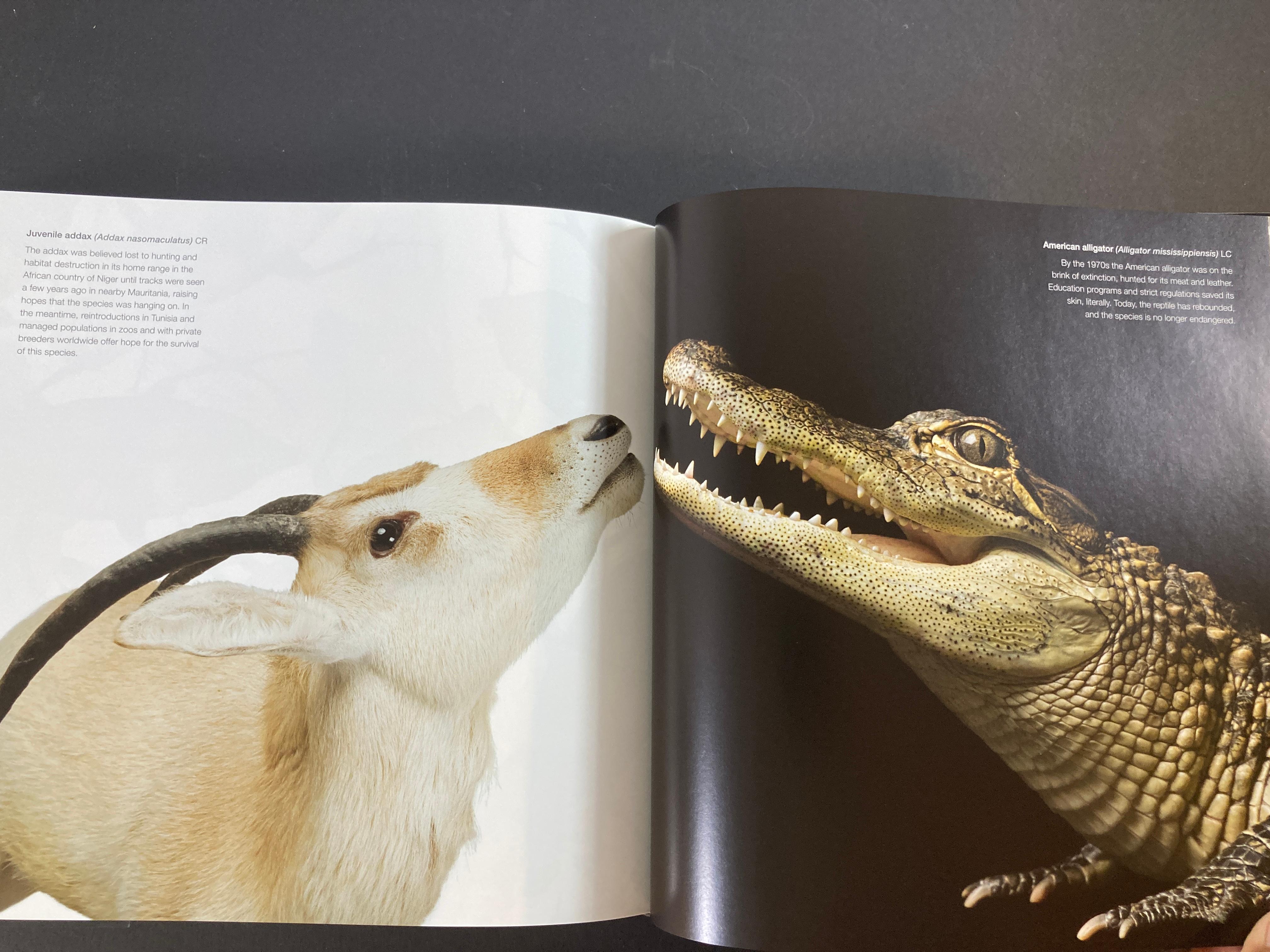 National Geographic The Photo Ark The Quest to Document the World's Animals For Sale 2
