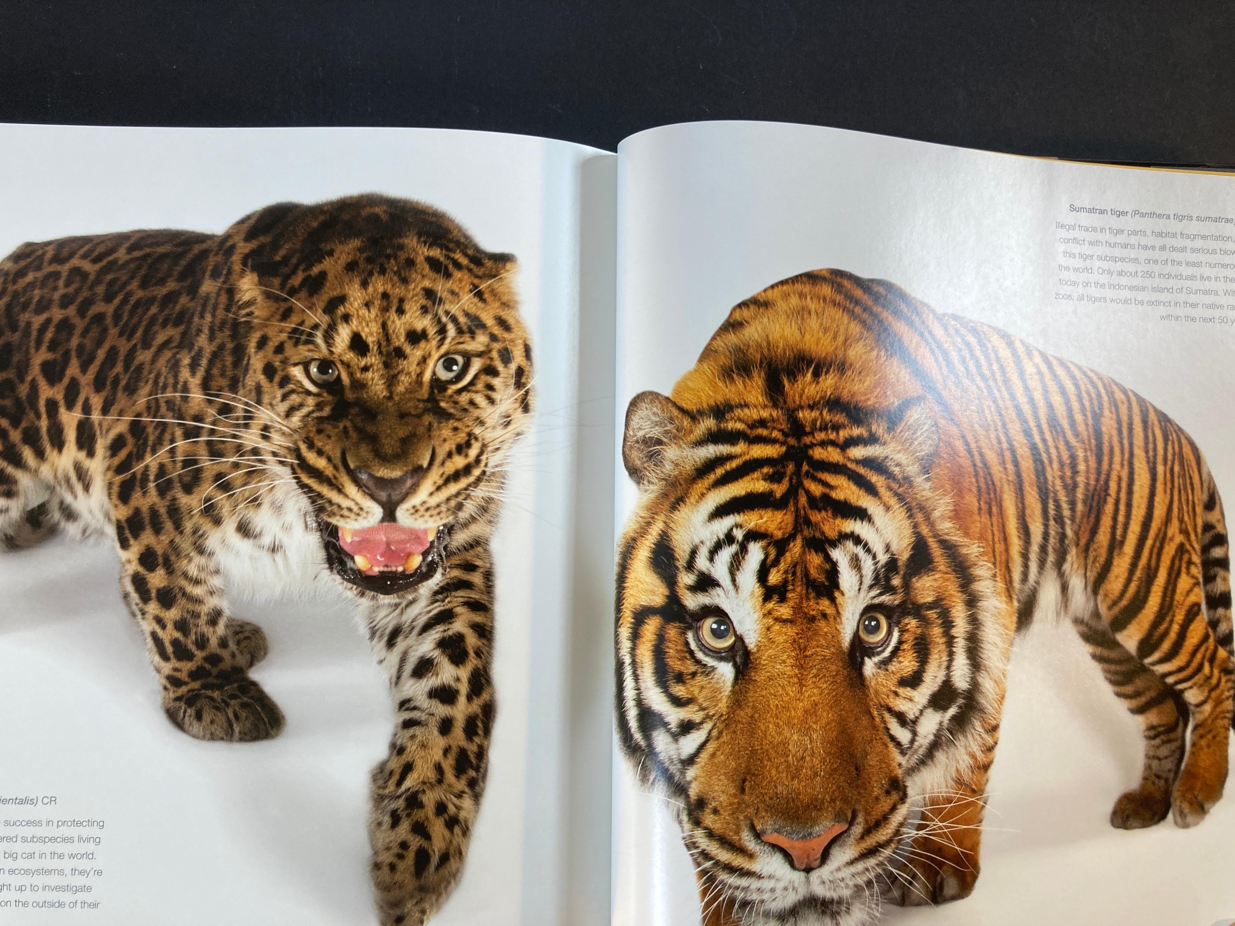 National Geographic L'Arca Fotografica La ricerca per documentare gli animali del mondo in vendita 6