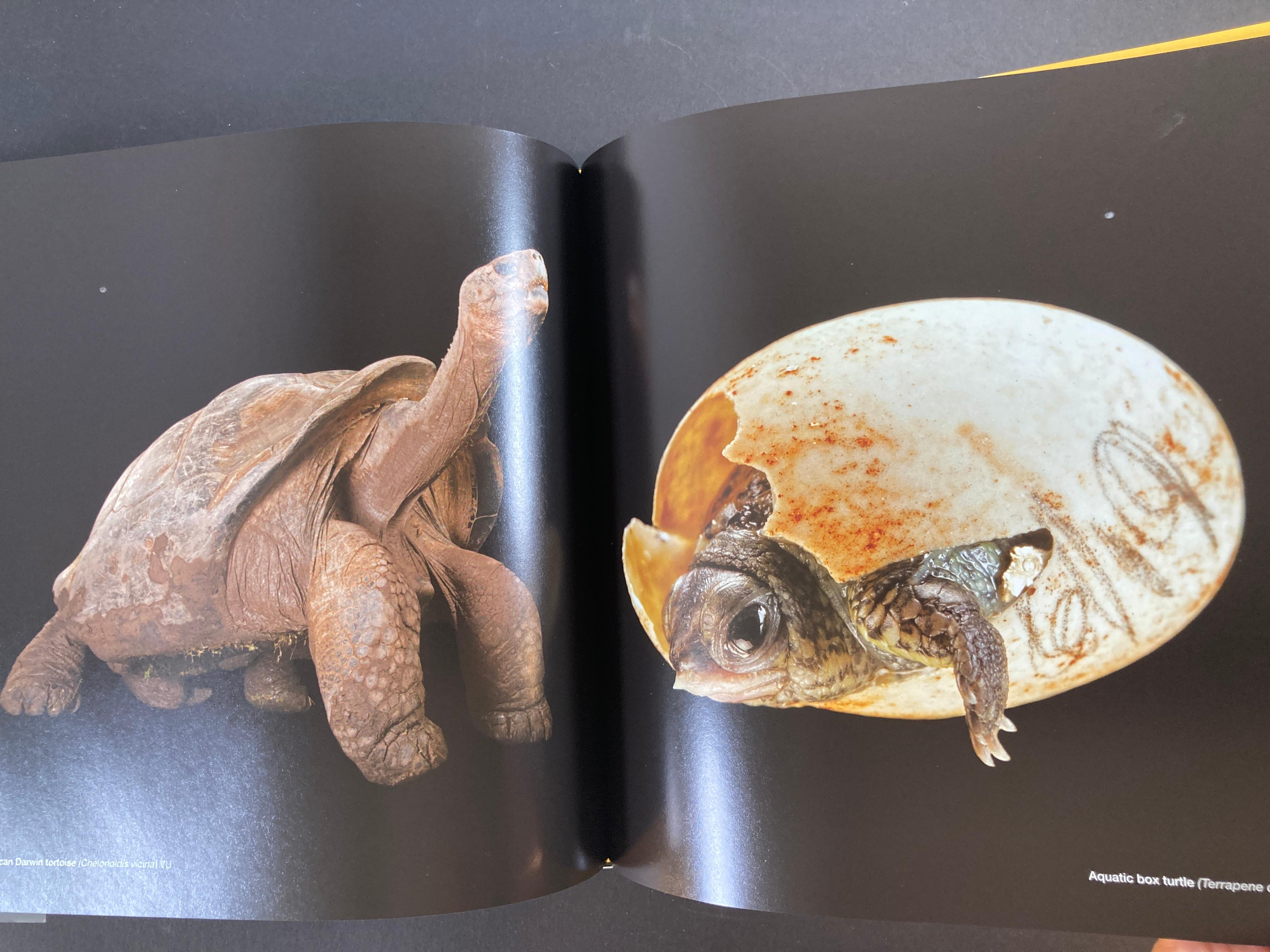 Contemporary National Geographic The Photo Ark The Quest to Document the World's Animals For Sale