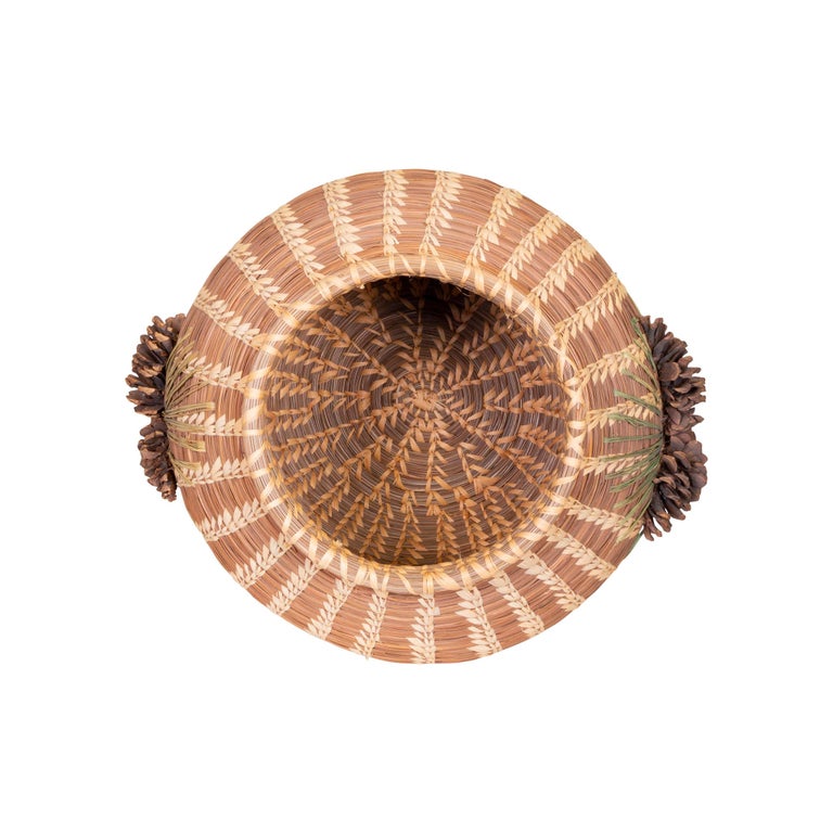 Native American Coushatta Lidded Pine Needle Basket For Sale at 1stDibs