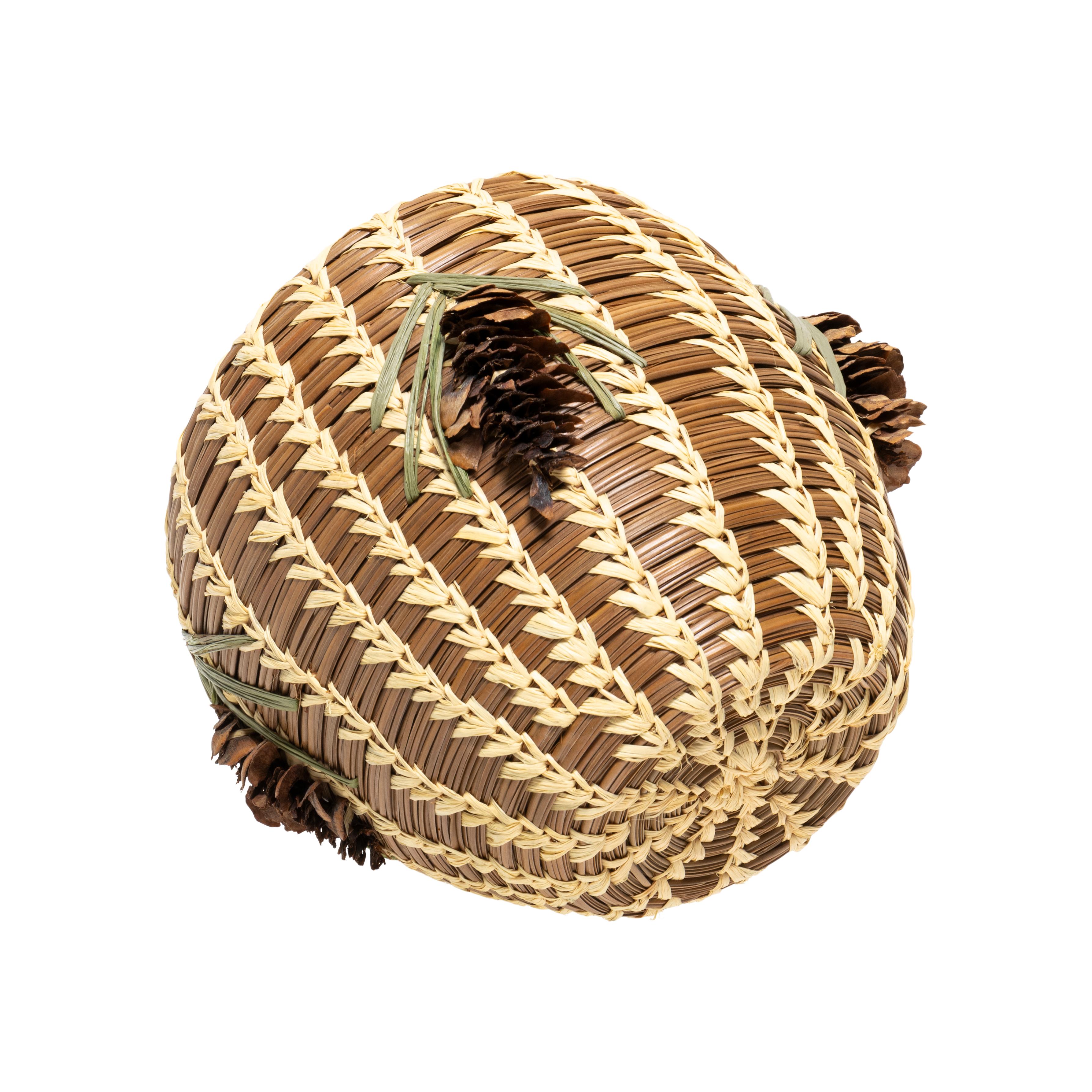 Native American Coushatta Lidded Pine Needle Basket In Good Condition For Sale In Coeur d'Alene, ID