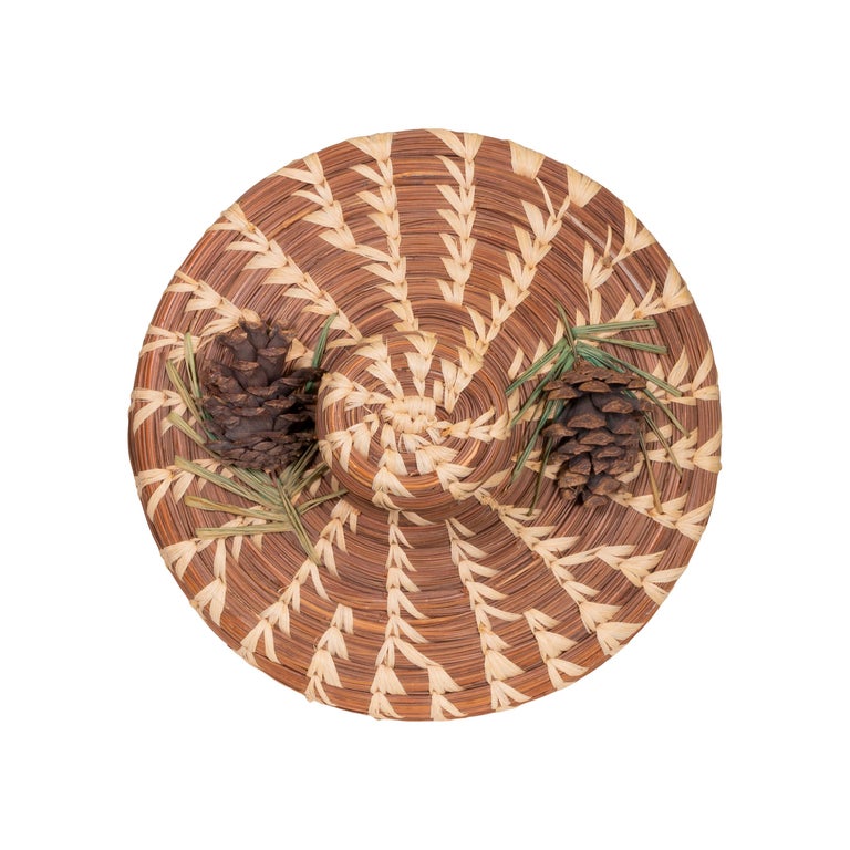 Native American Coushatta Lidded Pine Needle Basket For Sale at 1stDibs