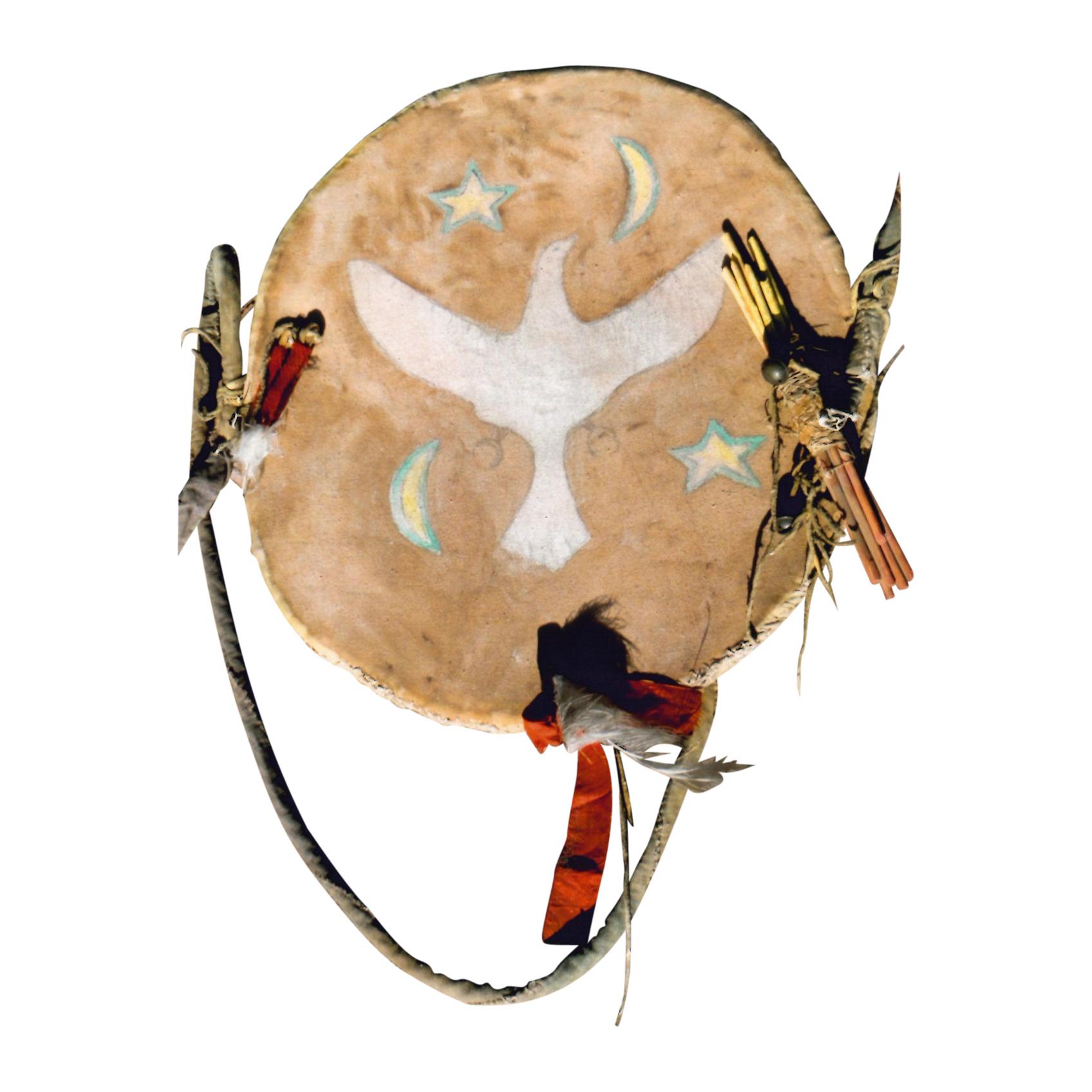 native american shield