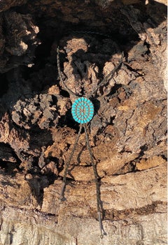 1950er Jahre Navajo Bolo-Krawatte, Pfau, Silber & Petit Point, Türkis, Indigene Kunst Nord- und Südamerika