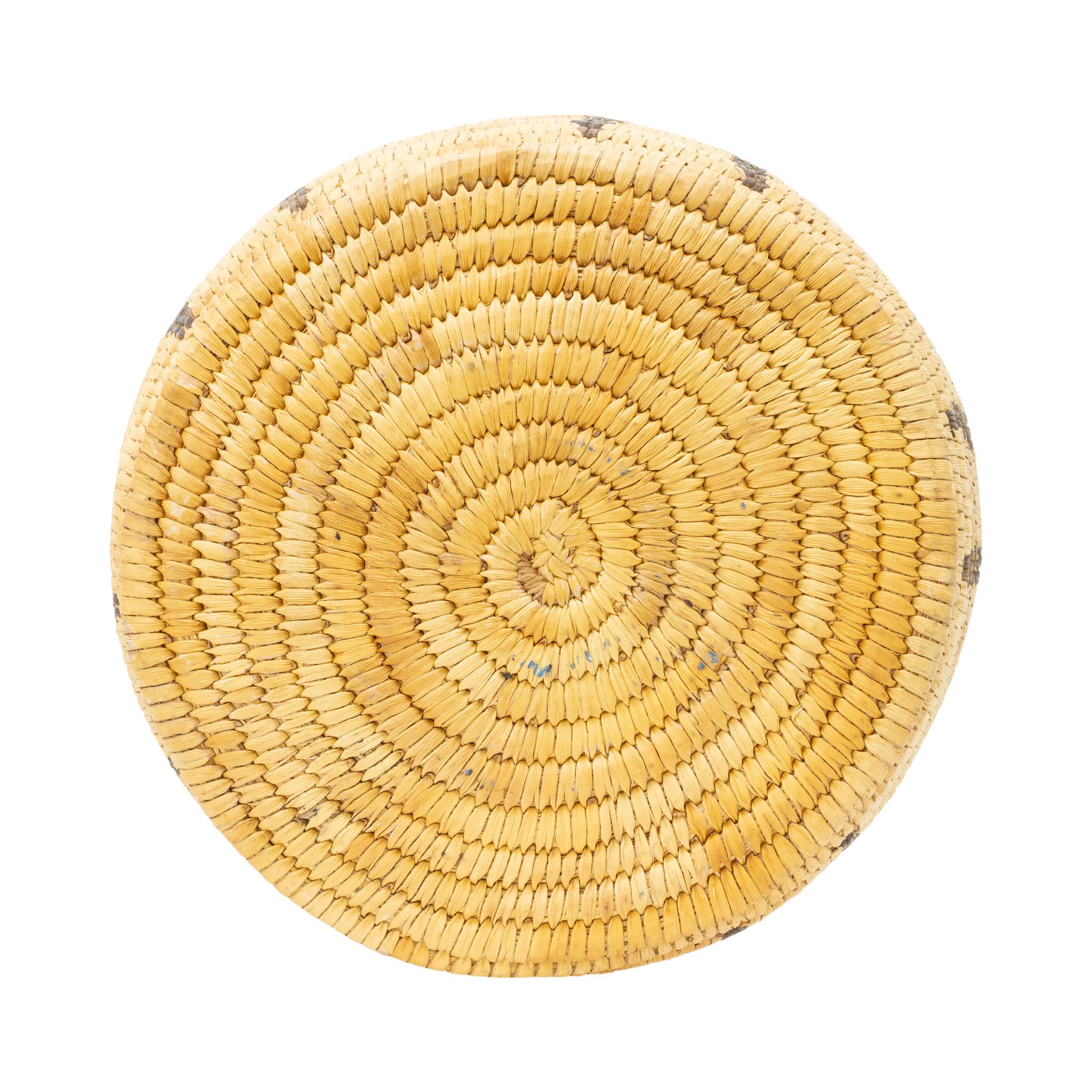 Papago basketry effigy bowl/jar with stylized quadrupeds and minor decoration around rim. Papago baskets are handcrafted of beargrass, yucca cactus (white or green) and Devil’s Claw (black). The technique used is known as coiling. Split stitch