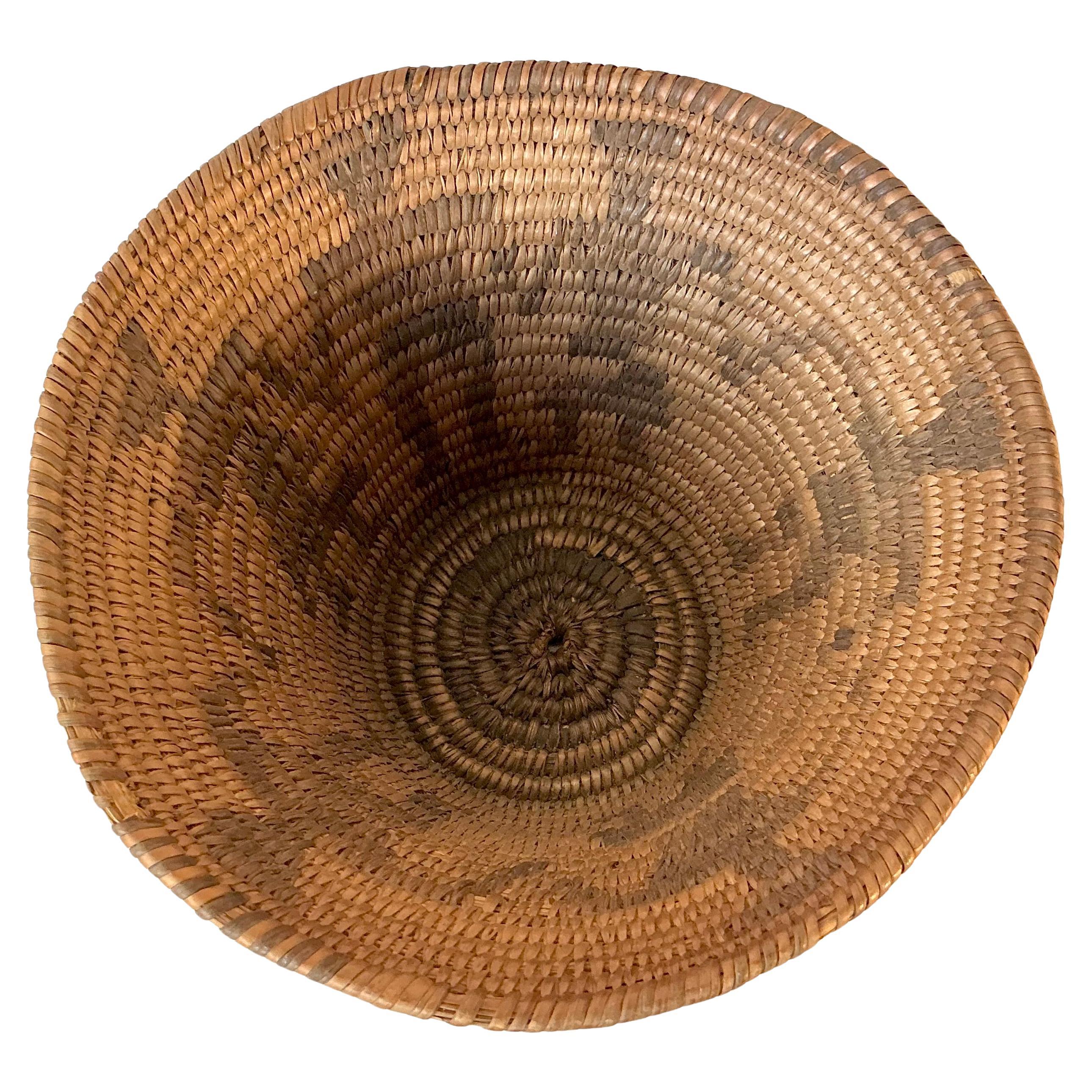 Native American Pima Korb (amerikanisch) im Angebot