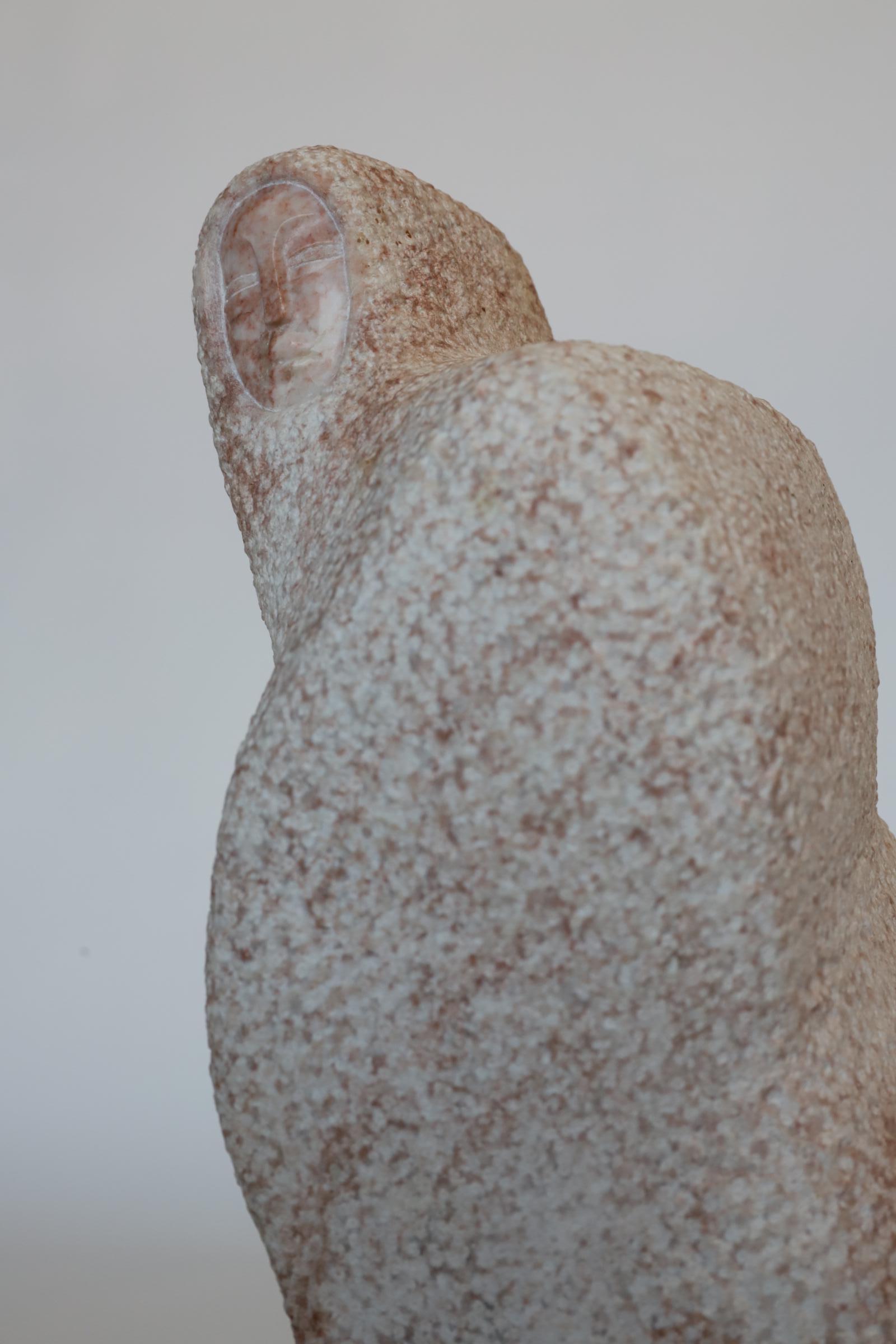 Sculpture de granit rose amérindienne  en vente 5
