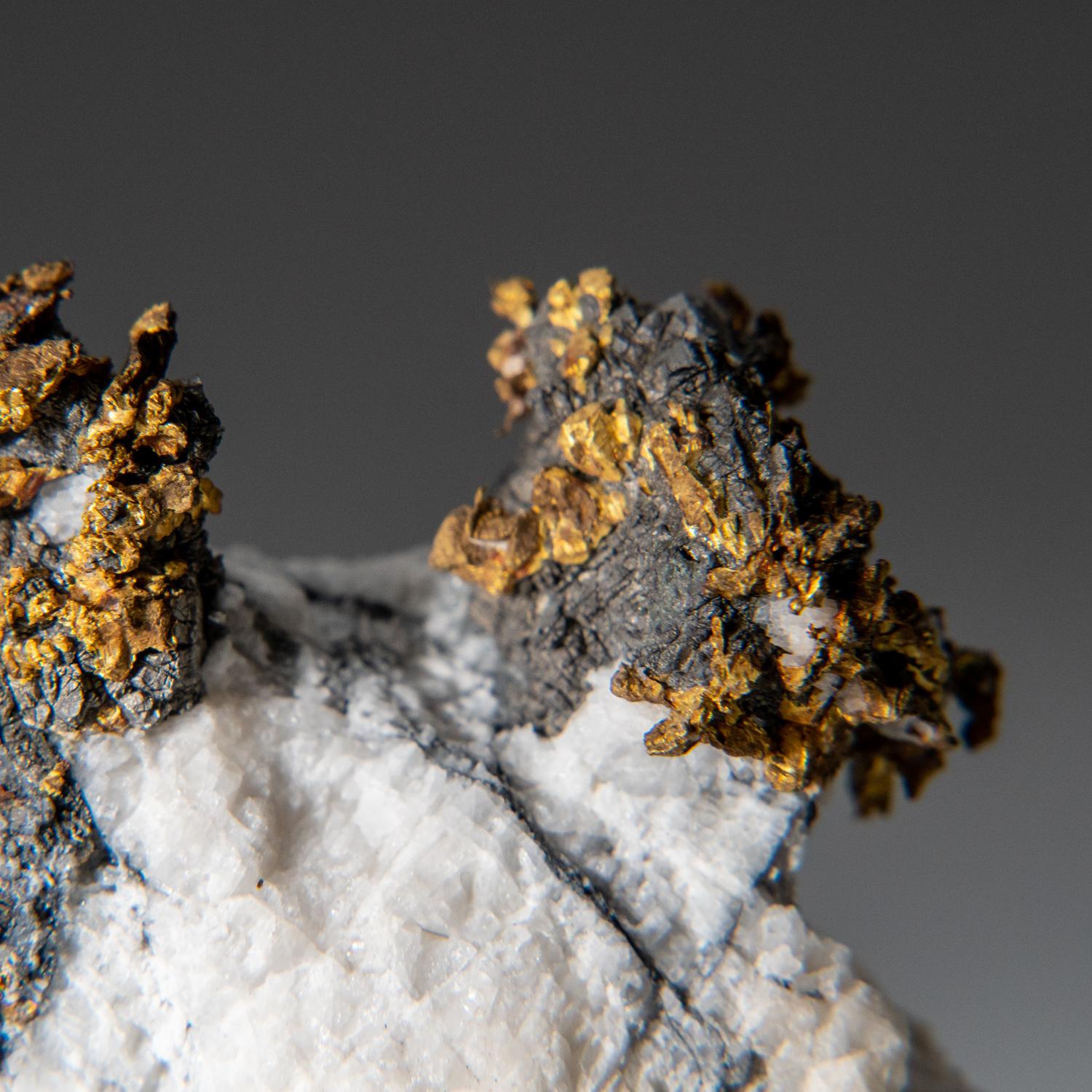 Native Gold with Arsenapyrite Diltz Mine, Mariposa County California In New Condition For Sale In New York, NY