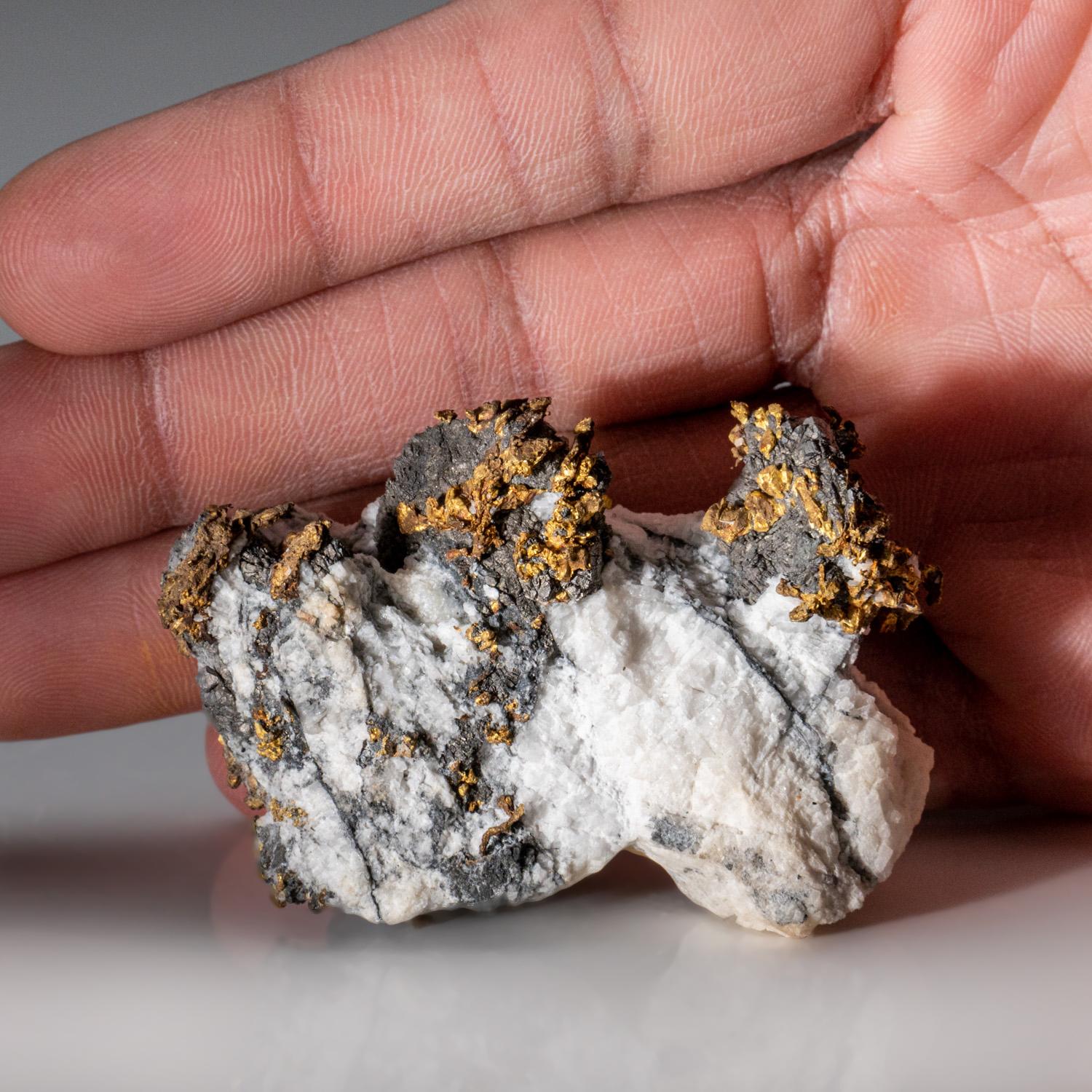 Contemporary Native Gold with Arsenapyrite Diltz Mine, Mariposa County California For Sale