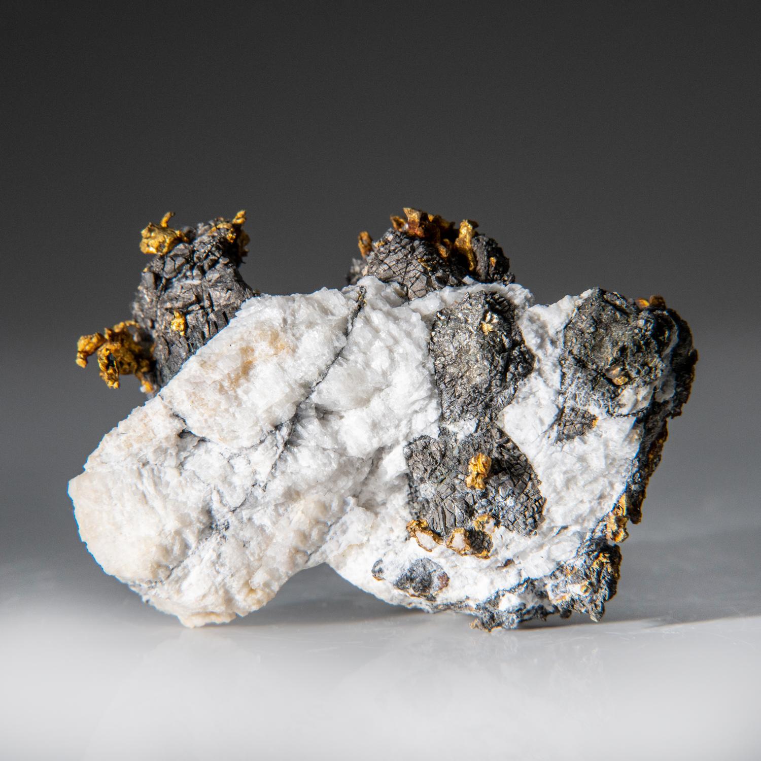 Native Gold with Arsenapyrite Diltz Mine, Mariposa County California For Sale 2