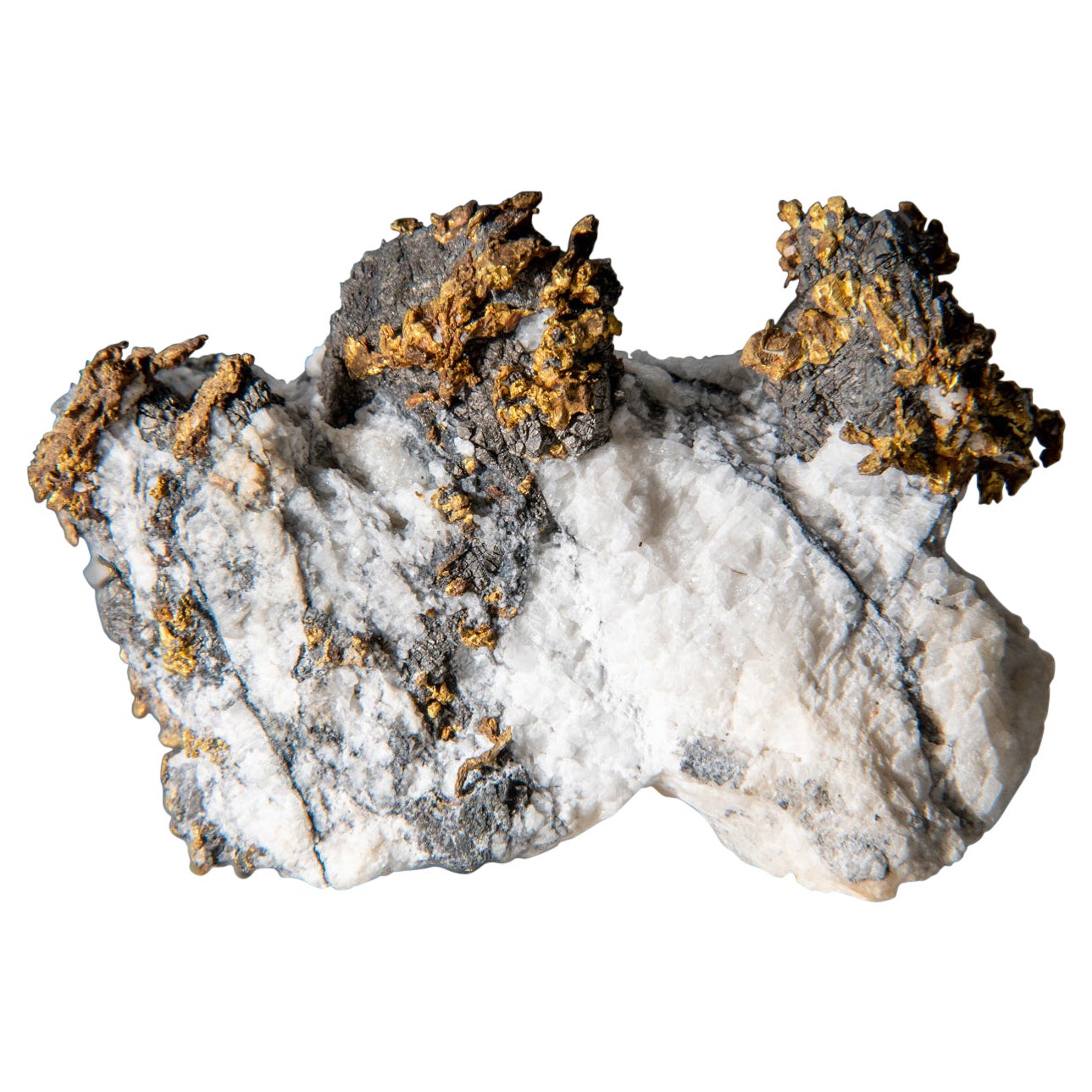 Oro nativo con arsenapirite Miniera di Diltz, Contea di Mariposa, California