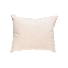 Native Lodge Pillow