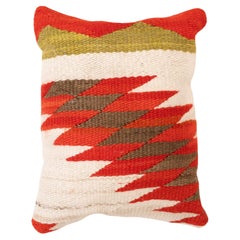 Native Lodge Pillow