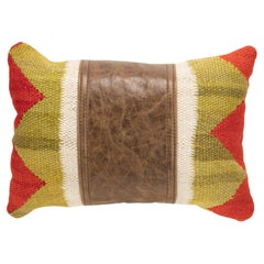 Native Lodge Pillow