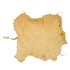 Native Painted Buffalo Hide