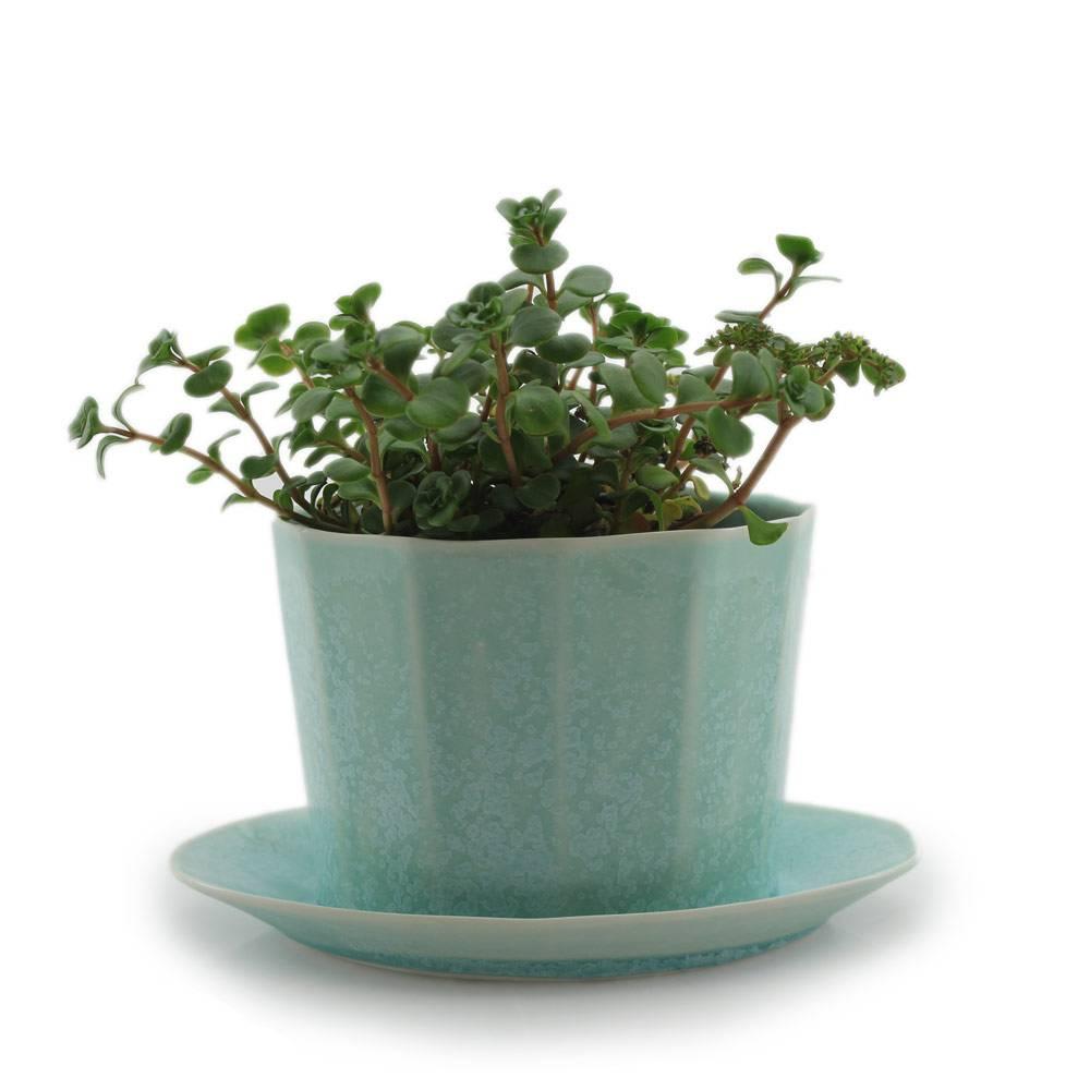 Native planter
-Elevate the beauty of your botany and catch the water your plants don't drink in this windowsill-approved planter. The Native Planter is a planter of contemporary design to add modern pottery to your home decor. Add modern garden