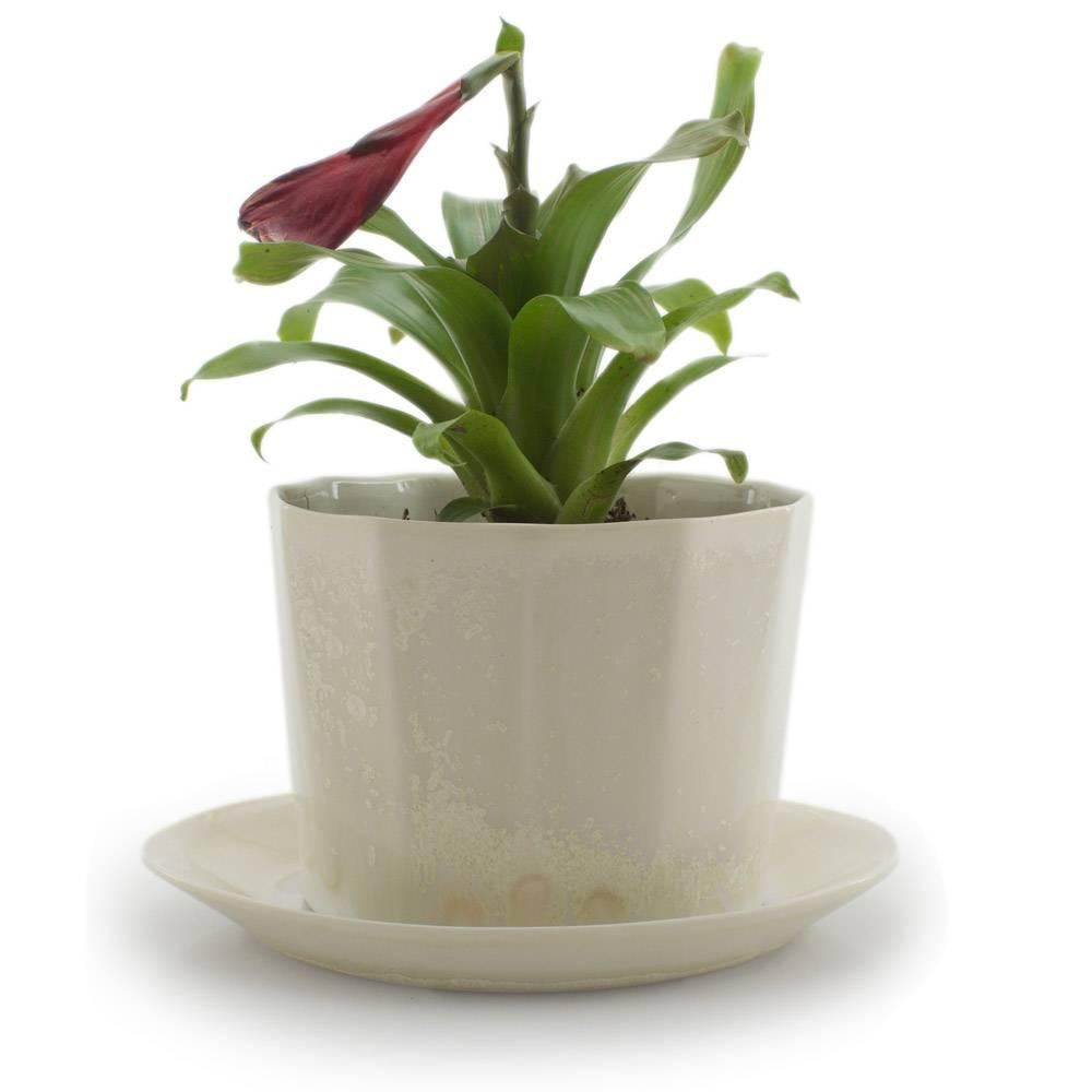 Native planter
-Elevate the beauty of your botany and catch the water your plants don't drink in this windowsill-approved planter. The Native Planter is a planter of contemporary design to add modern pottery to your home decor. Add modern garden