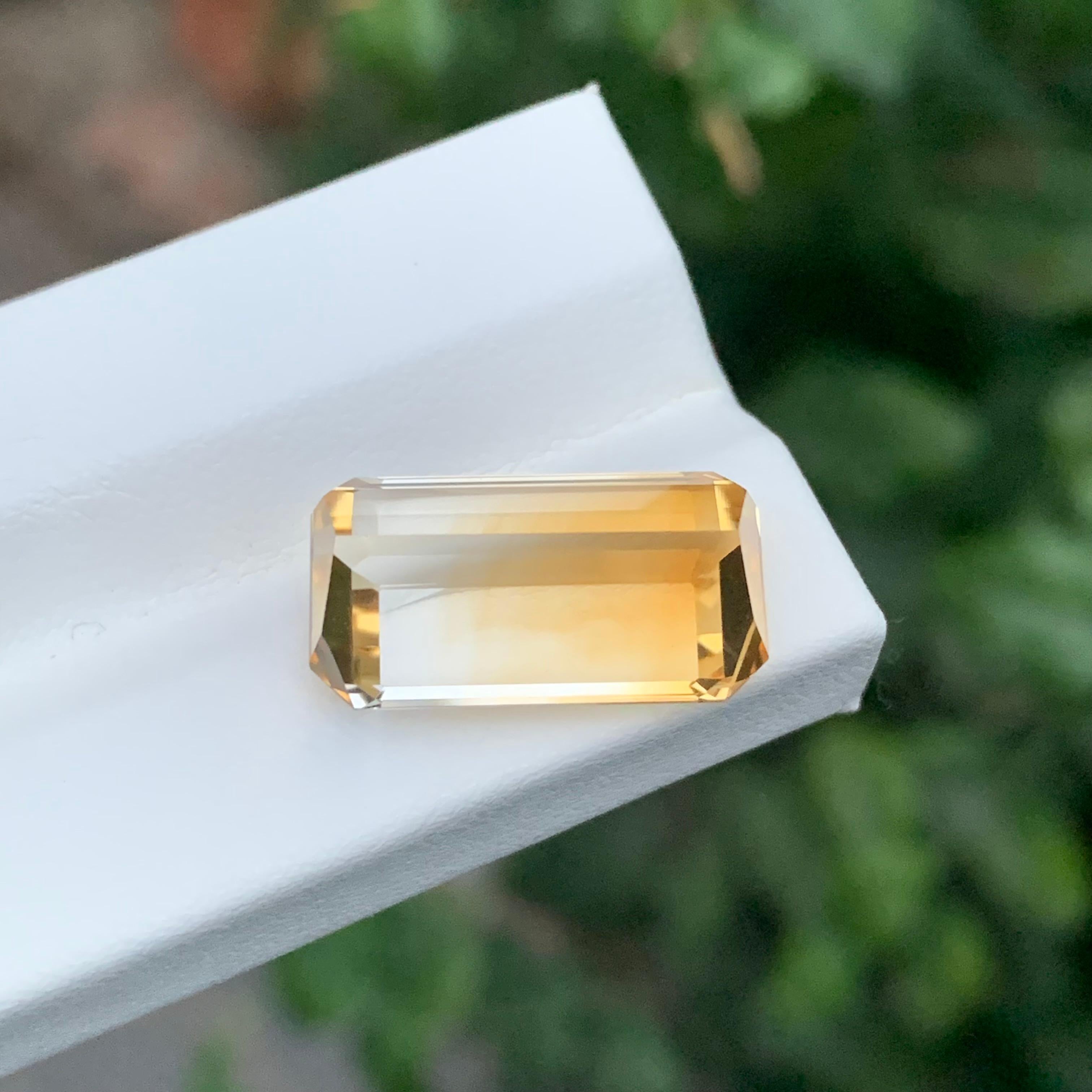 Gemmère naturelle jaune bicolore non sertie de 11,15 carats en vente 1