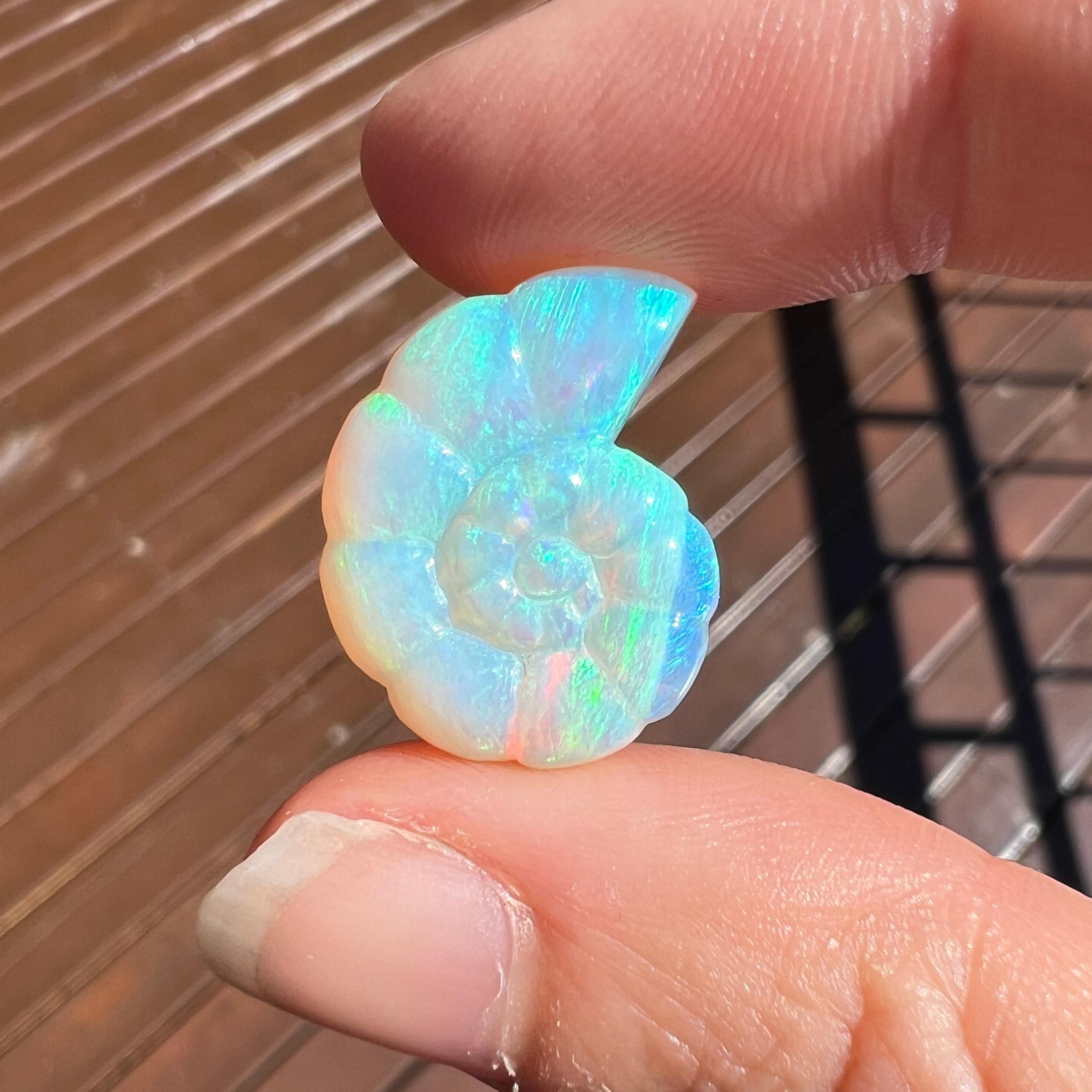 This beautiful 11.94 Ct Australian gem crystal opal, carved into a nautilus shell, is a truly exceptional addition to any collection, mined by Sue Cooper herself. Its rarity, coupled with the amazing shell carving, captivates connoisseurs with its