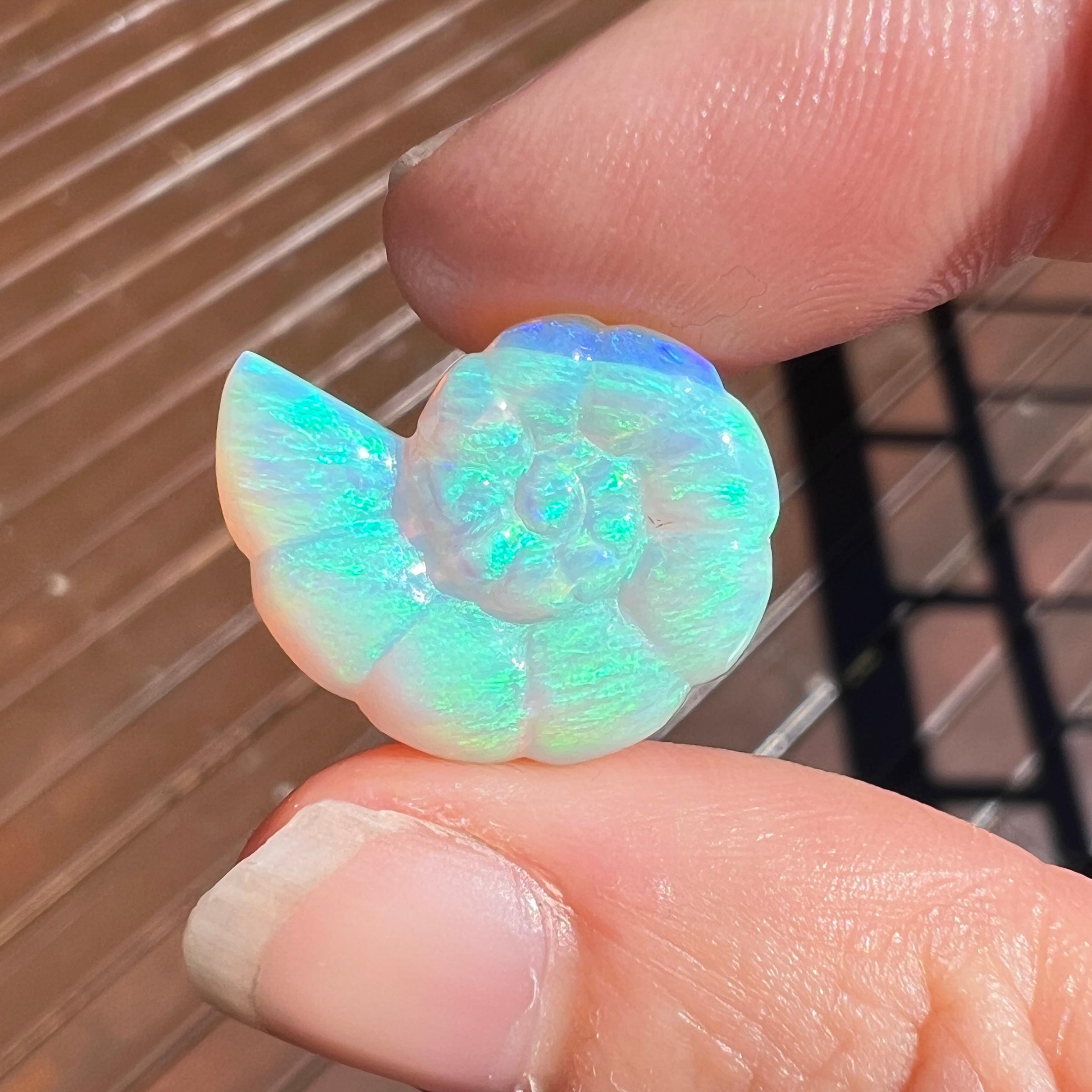 Cabochon Natural 11.94 Ct Australian Crystal Nautilus opal carving mined by Sue Cooper For Sale